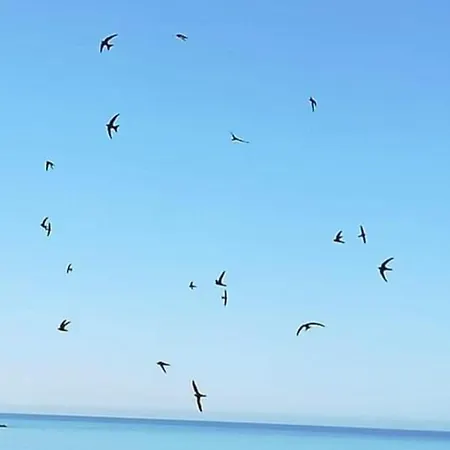 Mediterraneo Travel Bed & Breakfast