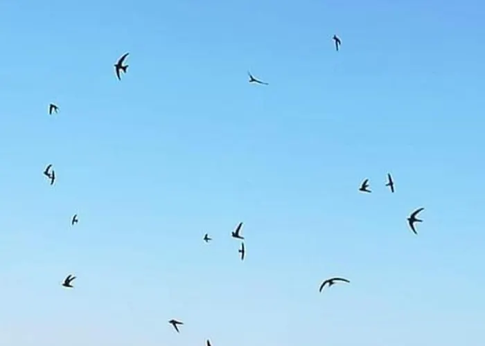 Mediterraneo Travel Oda ve Kahvaltı
